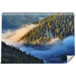Fototapeta samoprzylepna Jesienny poranek nad górami porośniętymi lasem