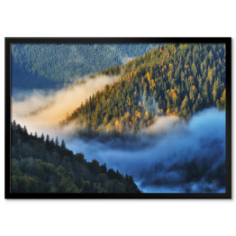 Plakat w ramie Jesienny poranek nad górami porośniętymi lasem