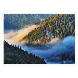 Plakat samoprzylepny Jesienny poranek nad górami porośniętymi lasem