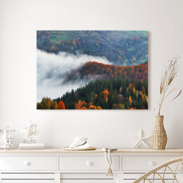 Obraz na płótnie Poranna jesienna mgła nad górami porośniętymi drzewami