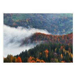 Plakat Poranna jesienna mgła nad górami porośniętymi drzewami