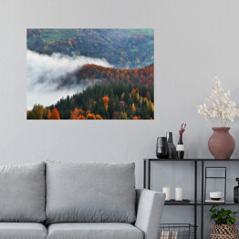Plakat Poranna jesienna mgła nad górami porośniętymi drzewami