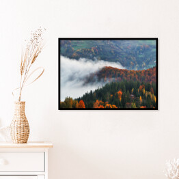 Plakat w ramie Poranna jesienna mgła nad górami porośniętymi drzewami