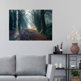 Plakat Aleja w zamglonym lesie jesienią o świcie