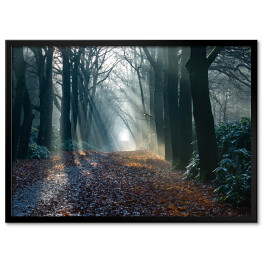 Plakat w ramie Aleja w zamglonym lesie jesienią o świcie