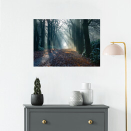 Plakat Aleja w zamglonym lesie jesienią o świcie