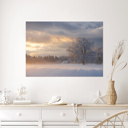 Plakat Zimowy krajobraz z drzewami na polanie o poranku