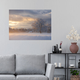 Plakat Zimowy krajobraz z drzewami na polanie o poranku
