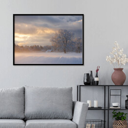 Plakat w ramie Zimowy krajobraz z drzewami na polanie o poranku