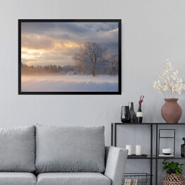 Obraz w ramie Zimowy krajobraz z drzewami na polanie o poranku