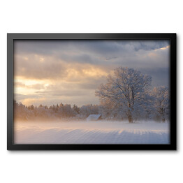 Obraz w ramie Zimowy krajobraz z drzewami na polanie o poranku