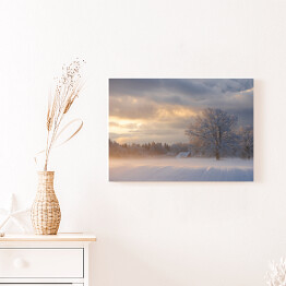 Obraz na płótnie Zimowy krajobraz z drzewami na polanie o poranku