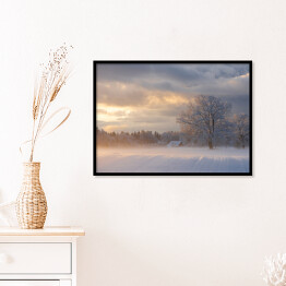 Plakat w ramie Zimowy krajobraz z drzewami na polanie o poranku