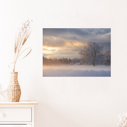 Plakat samoprzylepny Zimowy krajobraz z drzewami na polanie o poranku