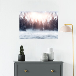 Plakat Wschód słońca nad lasem we mgle zimą