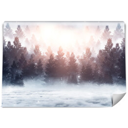 Fototapeta winylowa zmywalna Wschód słońca nad lasem we mgle zimą