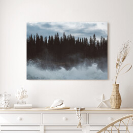 Obraz na płótnie Mroczny las nad jeziorem we mgle
