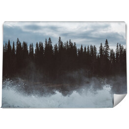 Fototapeta samoprzylepna Mroczny las nad jeziorem we mgle