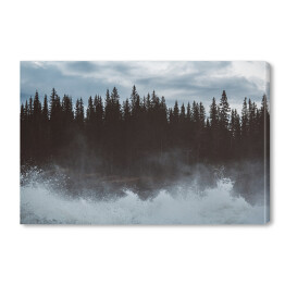 Obraz na płótnie Mroczny las nad jeziorem we mgle