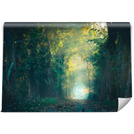 Fototapeta samoprzylepna Wiązka światła na drodze magicznego lasu