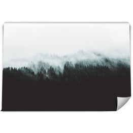 Fototapeta Nastrojowy krajobraz leśny z mgłą