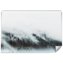 Skandynawski krajobraz lasu we mgle w górach 