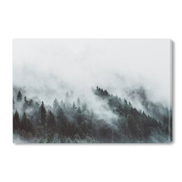 Obraz na płótnie Krajobraz z lasem we mgle w górach