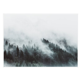 Plakat Krajobraz z lasem we mgle w górach