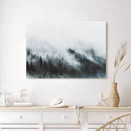 Obraz na płótnie Krajobraz z lasem we mgle w górach
