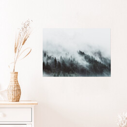 Plakat samoprzylepny Krajobraz z lasem we mgle w górach