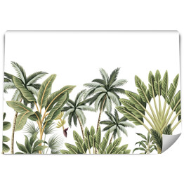 Fototapeta winylowa zmywalna Dekoracyjne liście palmowe na białym tle
