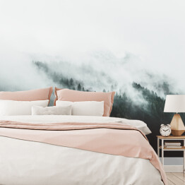 Fototapeta winylowa zmywalna Góry porośnięte sosnami we mgle