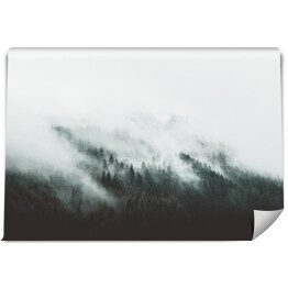 Fototapeta winylowa zmywalna Góry porośnięte sosnami we mgle