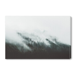 Obraz na płótnie Góry porośnięte sosnami we mgle