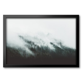 Obraz w ramie Góry porośnięte sosnami we mgle