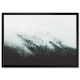 Plakat w ramie Góry porośnięte sosnami we mgle