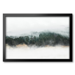 Tajemniczy górski las we mgle 