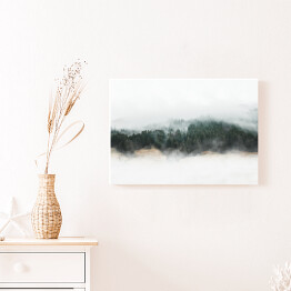 Obraz na płótnie Tajemniczy górski las we mgle 