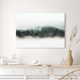 Obraz na płótnie Tajemniczy górski las we mgle 