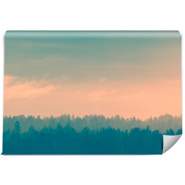 Fototapeta winylowa zmywalna Kolorowe niebo nad lasem we mgle