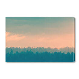 Obraz na płótnie Kolorowe niebo nad lasem we mgle