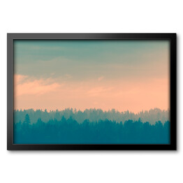 Obraz w ramie Kolorowe niebo nad lasem we mgle