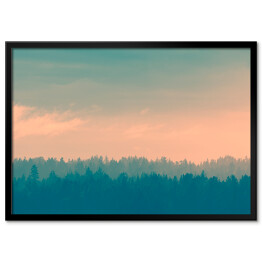 Plakat w ramie Kolorowe niebo nad lasem we mgle