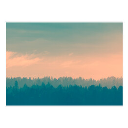 Plakat Kolorowe niebo nad lasem we mgle