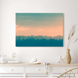 Obraz na płótnie Kolorowe niebo nad lasem we mgle