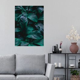 Plakat Intensywnie zielone, lśniące, tropikalne liście 