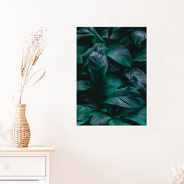 Plakat samoprzylepny Intensywnie zielone, lśniące, tropikalne liście 