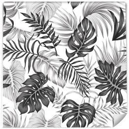 Tapeta samoprzylepna w rolce Tropikalne liście w szarościach. Czarno białe liście palmowe i monstera