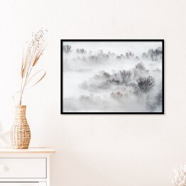 Plakat w ramie Gęsta mgła nad lasem zimą