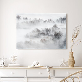 Obraz na płótnie Gęsta mgła nad lasem zimą